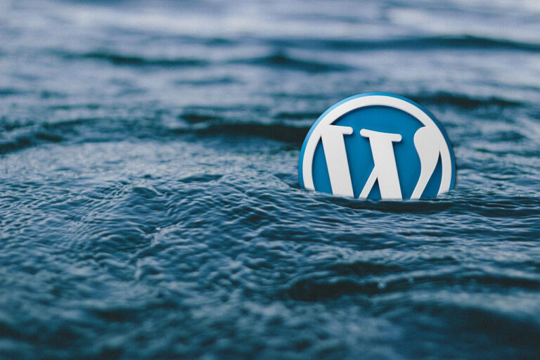 WordPress Security – All-In-One SEO Vulnerability – High Risk